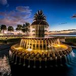 Pineapple Fountain