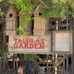 Talula's Garden