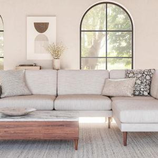 Our New Couch Fund!