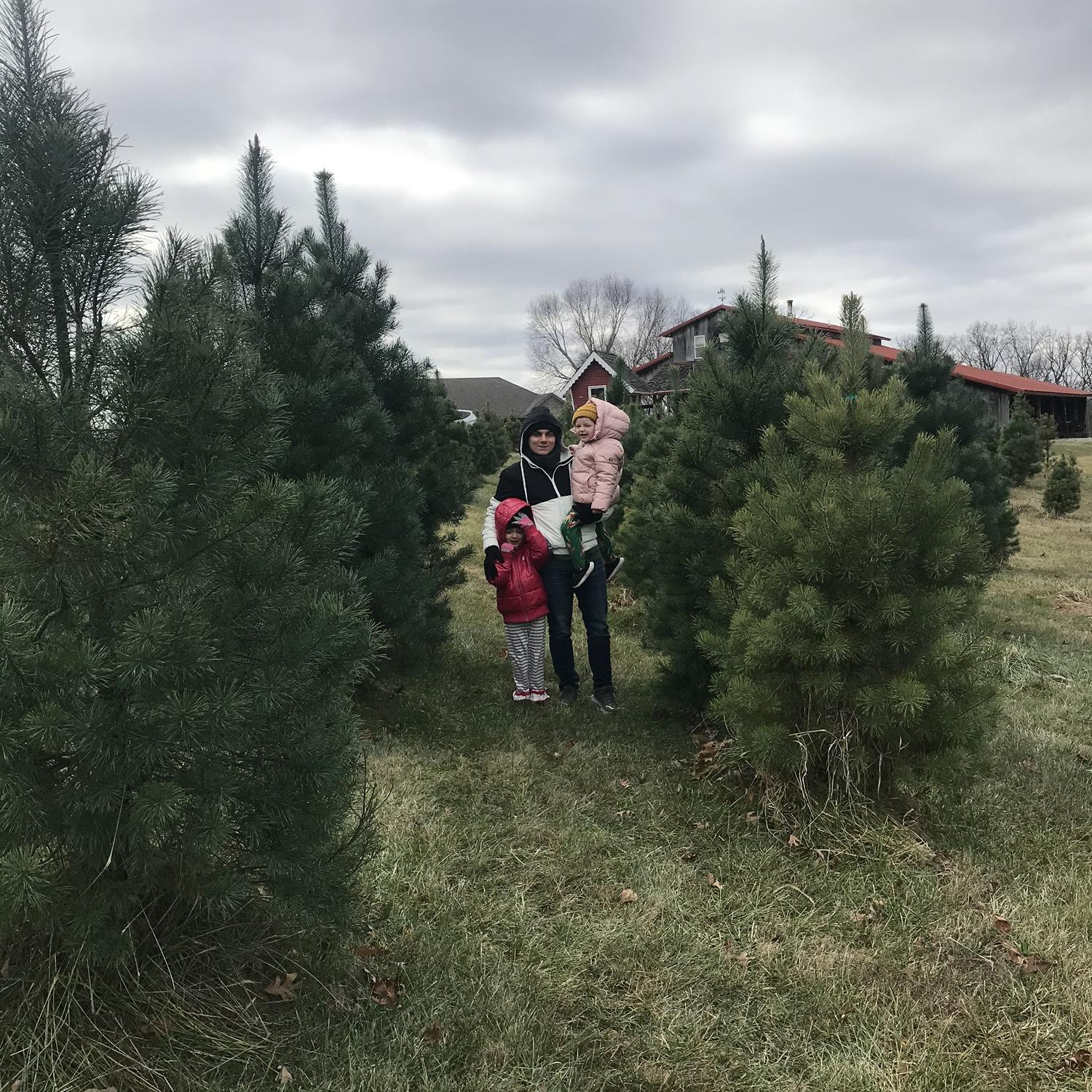 Picking out a Christmas Tree (though we ended up getting an artificial one)