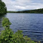 Gates Pond