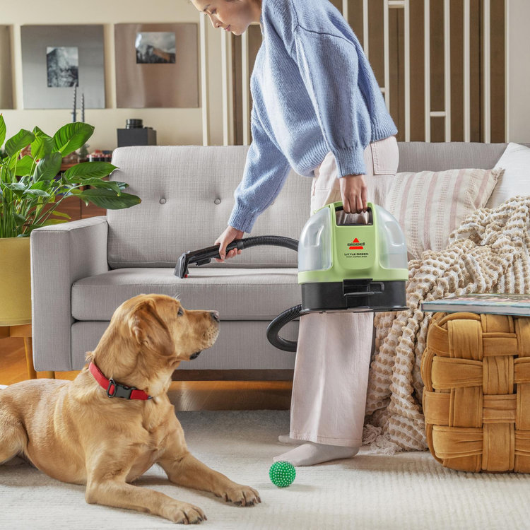 BISSELL, Little Green Mini Cordless | Zola
