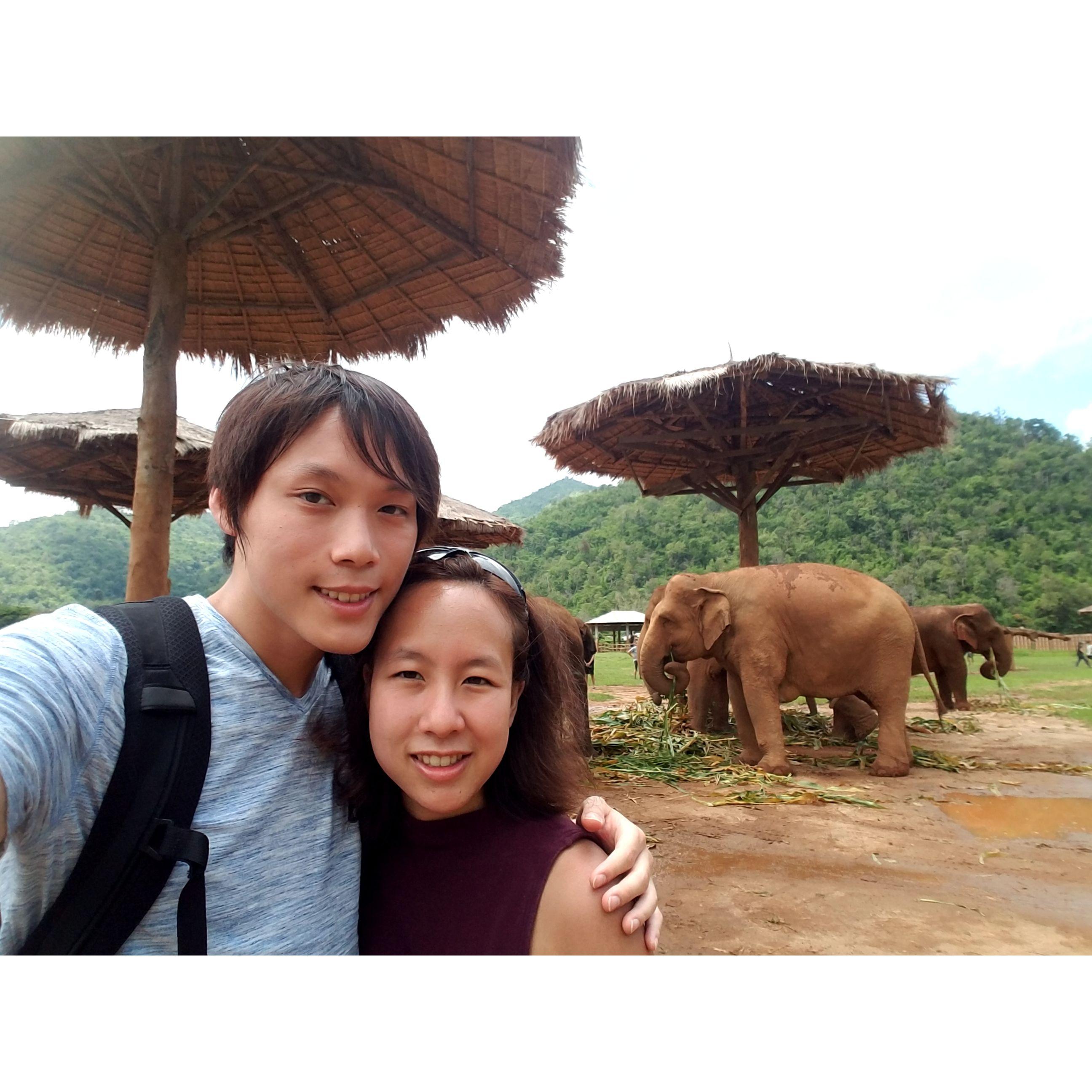 Elephants in Thailand! Don't ride them! It's not good for them, said the rangers. Monica rode them in China when she was little and didn't know better. Shame, shame, shame.