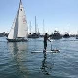 Paddle board or kayak in Newport Harbor