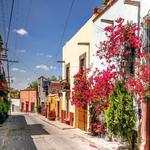 Wander Through The Historic Center