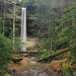 Yahoo Falls Overlook