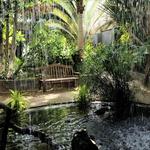 Amarillo Botanical Gardens