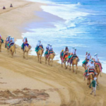 Camel Ride on the Beach