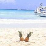 Saona Island/ Isla Saona