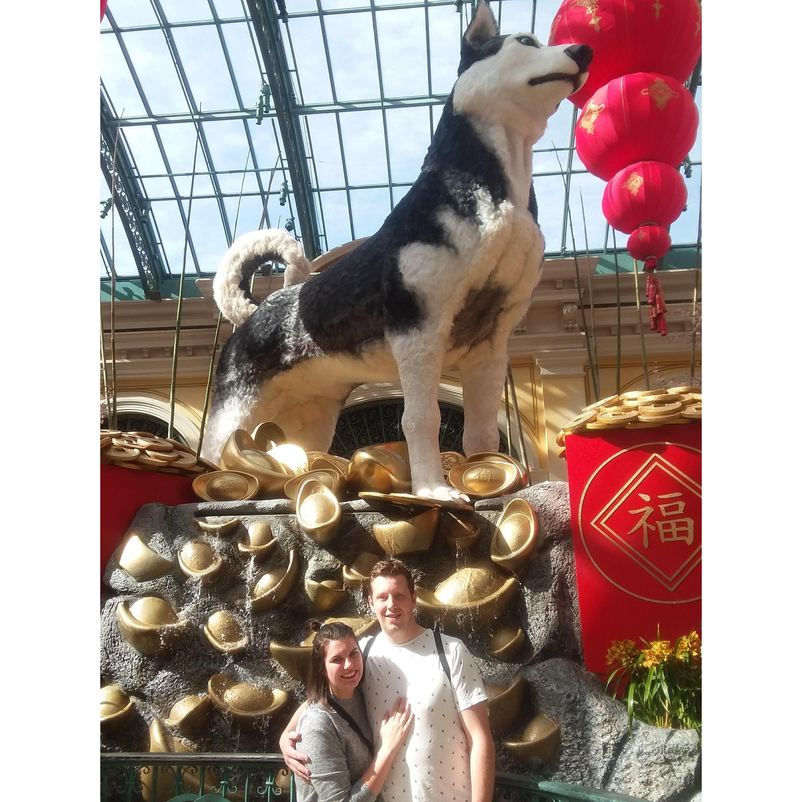 Our first vacation together! Turns out we're not Vegas people...