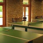 Ping Pong