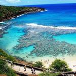 Hanauma Bay