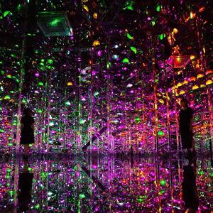 honeymoon - teamlab in tokyo