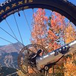 Check out the Fall Colors on your Mountain Bike