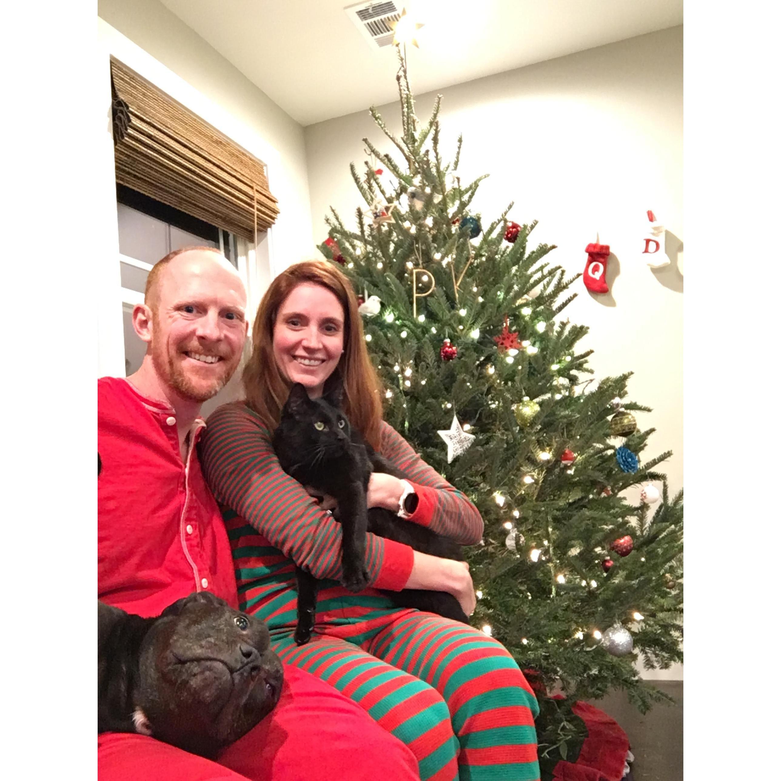 Christmas 2017 with Binx and Dioji