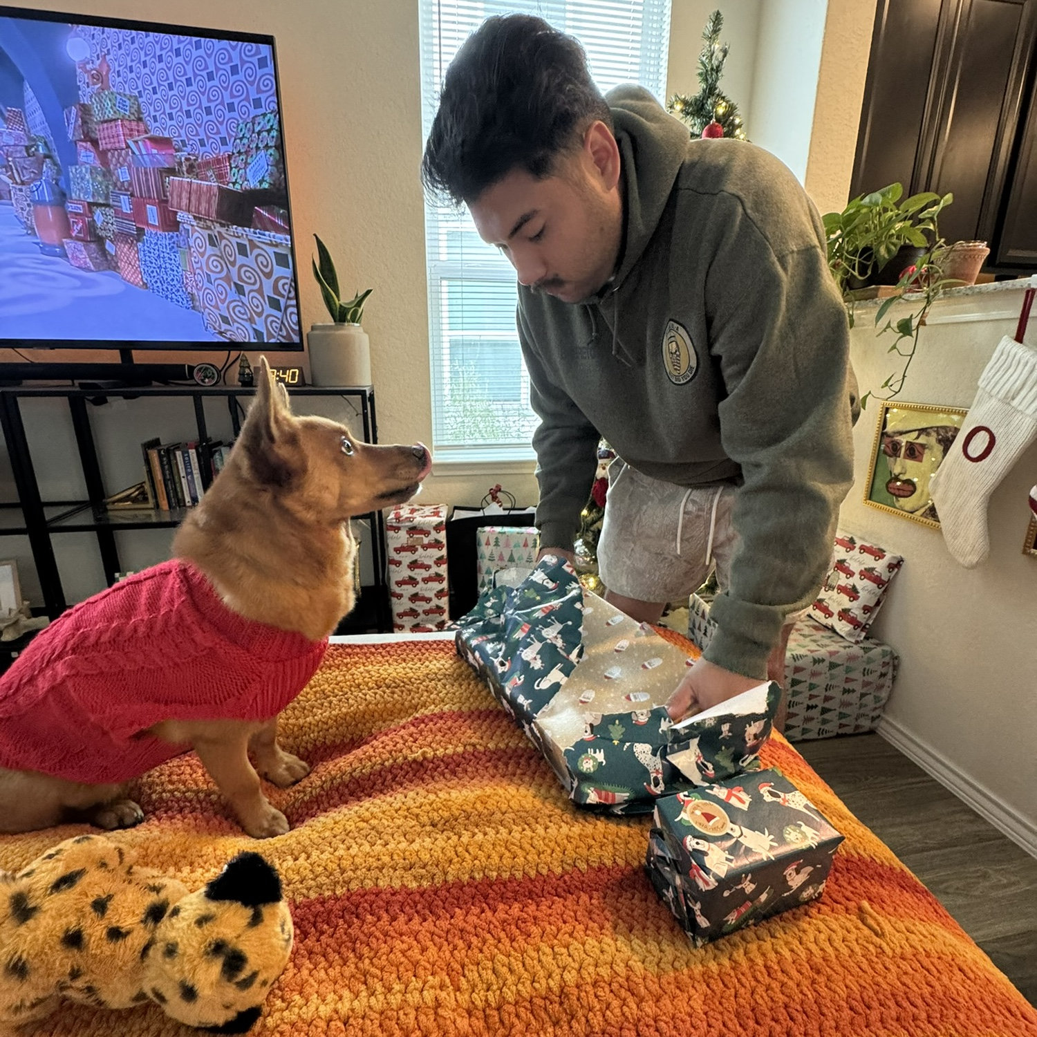 Opie always has the best Christmas!