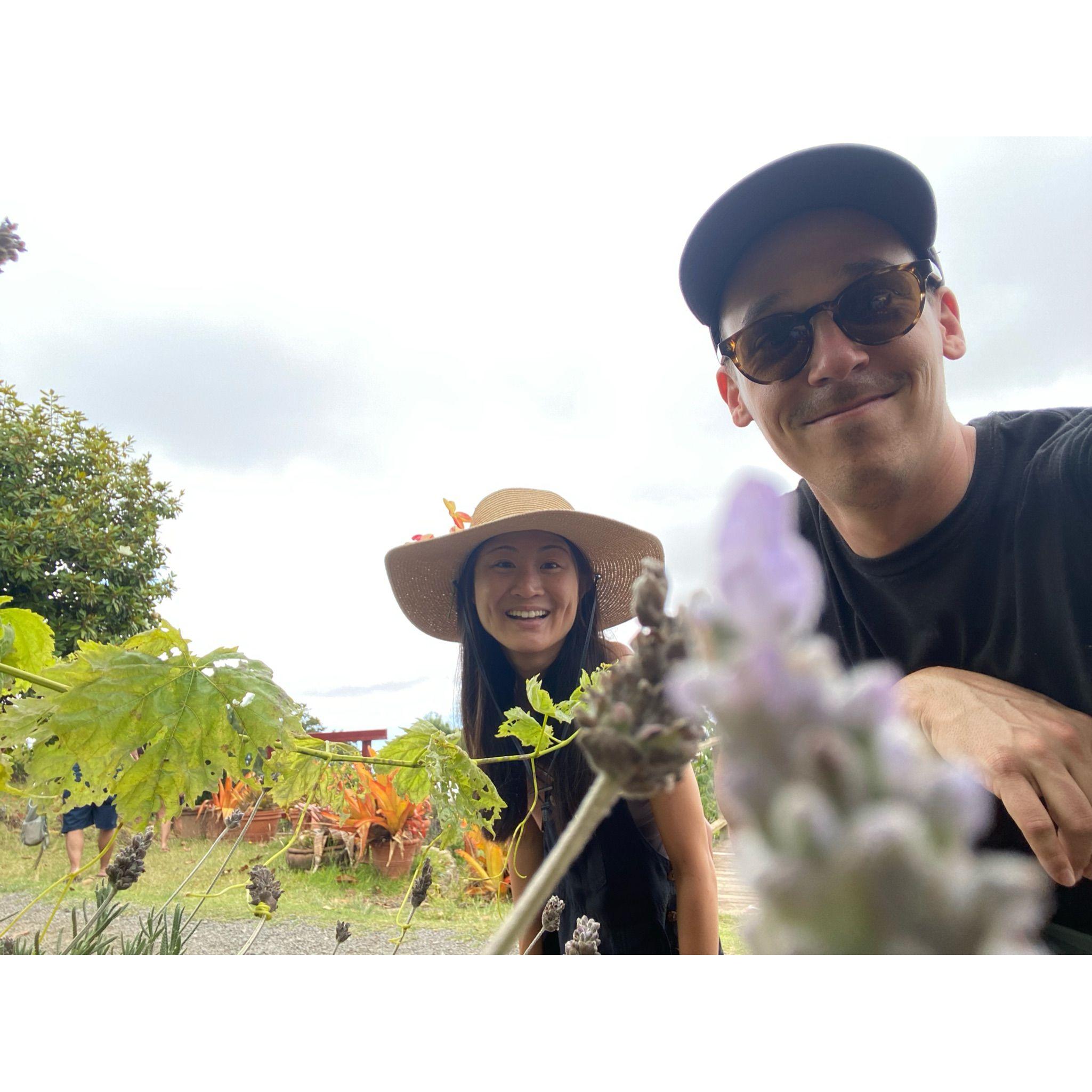 Lavender Farm on Maui