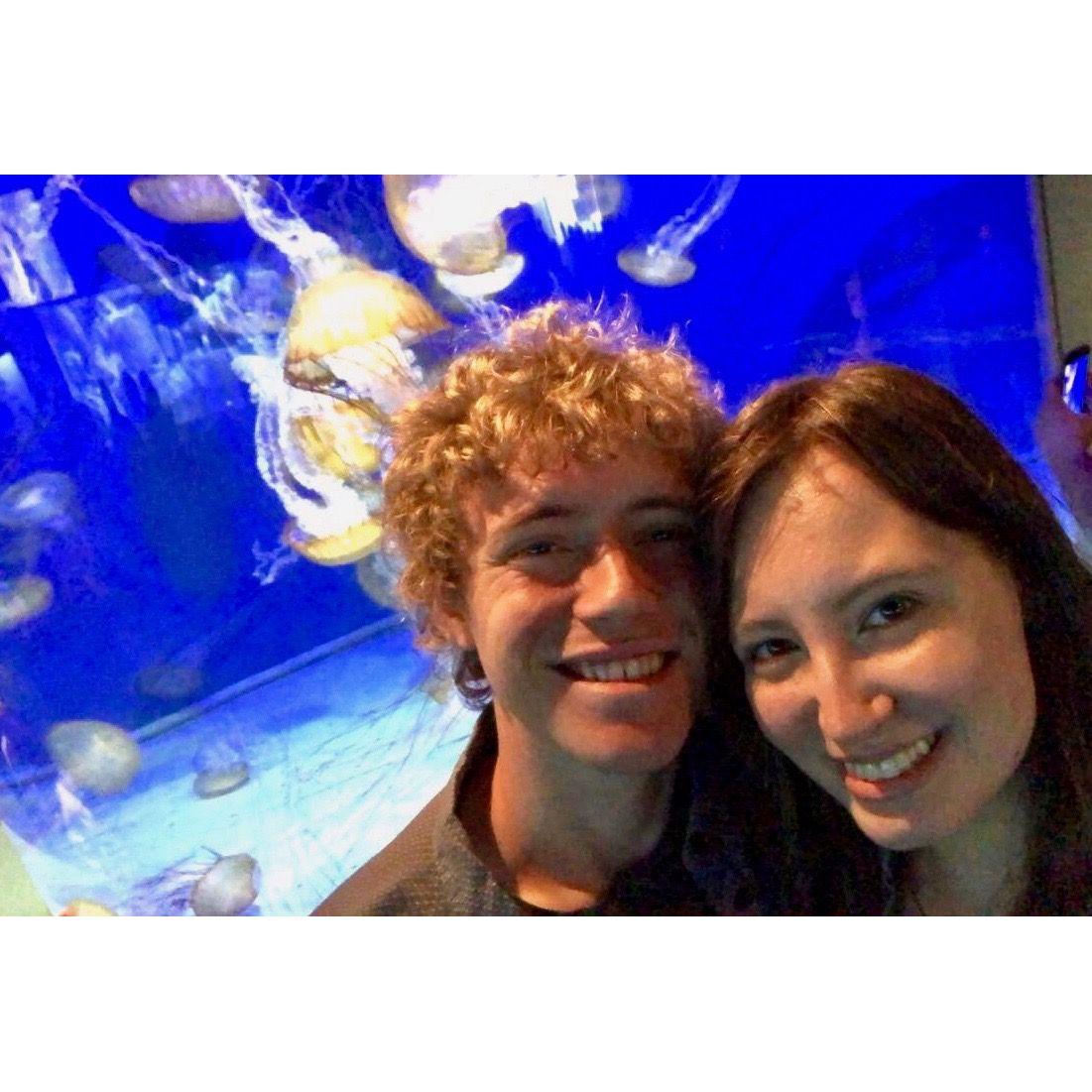 Joel took Abbie to the Aquarium of the Pacific as a surprise while in California