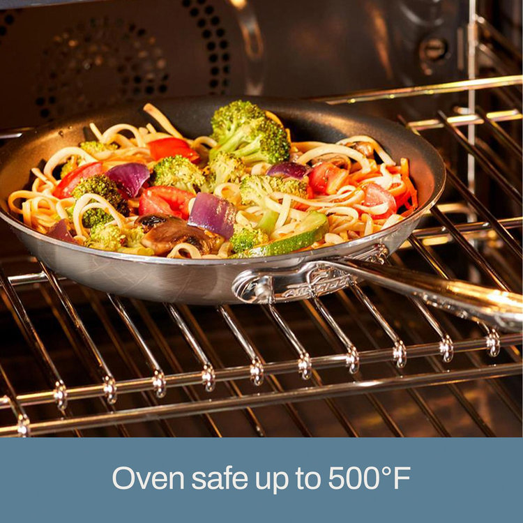 All-Clad, D5 Brushed Pro Nonstick 5-Ply Fry Pan | Zola