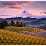 Willamette Valley Things to DO - Starting Point