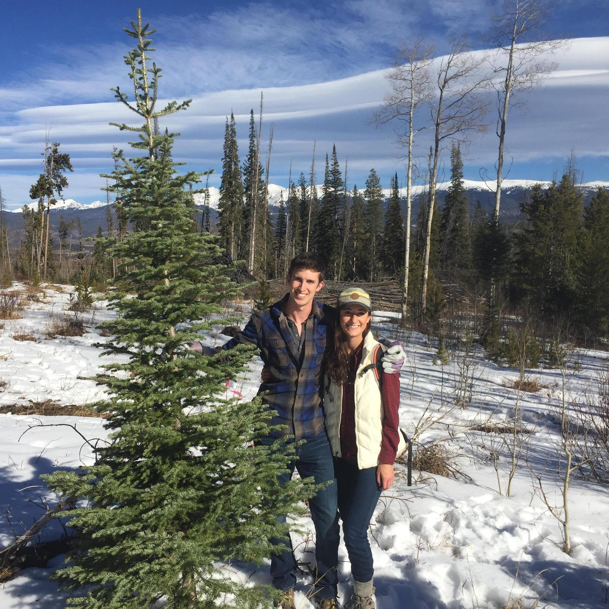 Our first Christmas tree!