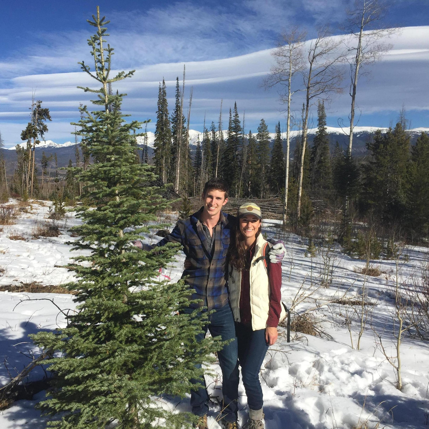 Our first Christmas tree!
