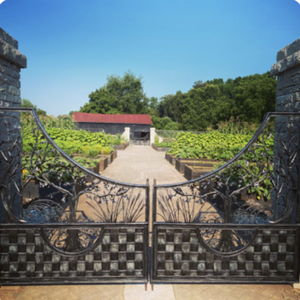 Kentucky Adventure: Maker's Mark Distillery Tour + Dinner