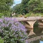 Lake Lure Flowering Bridge