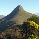 Lion's Head