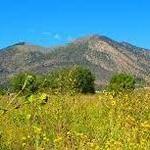 Flagstaff