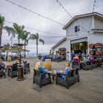 Sunshine Mountain Vineyard
