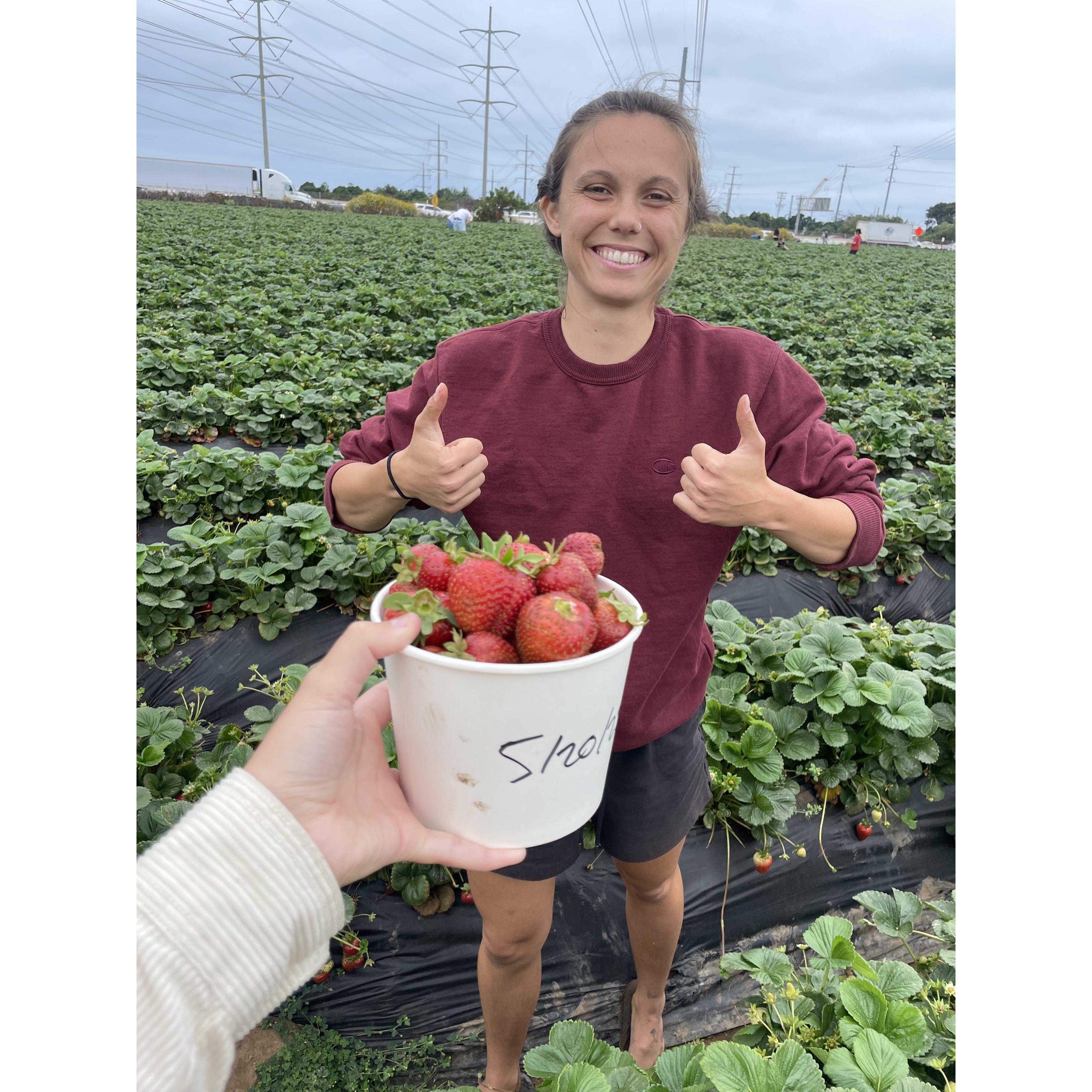 Carlsbad strawberry picking :)