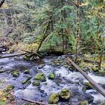 Sol Duc River / Hotsprings