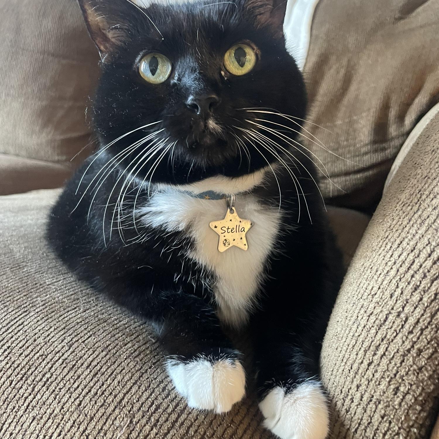 Stella