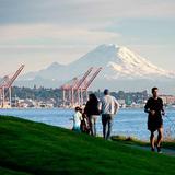 Olympic Sculpture Park