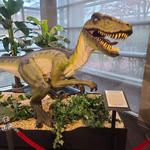 Wonders Center & Science Museum