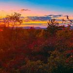Woodbourne Forest And Wildlife Preserve