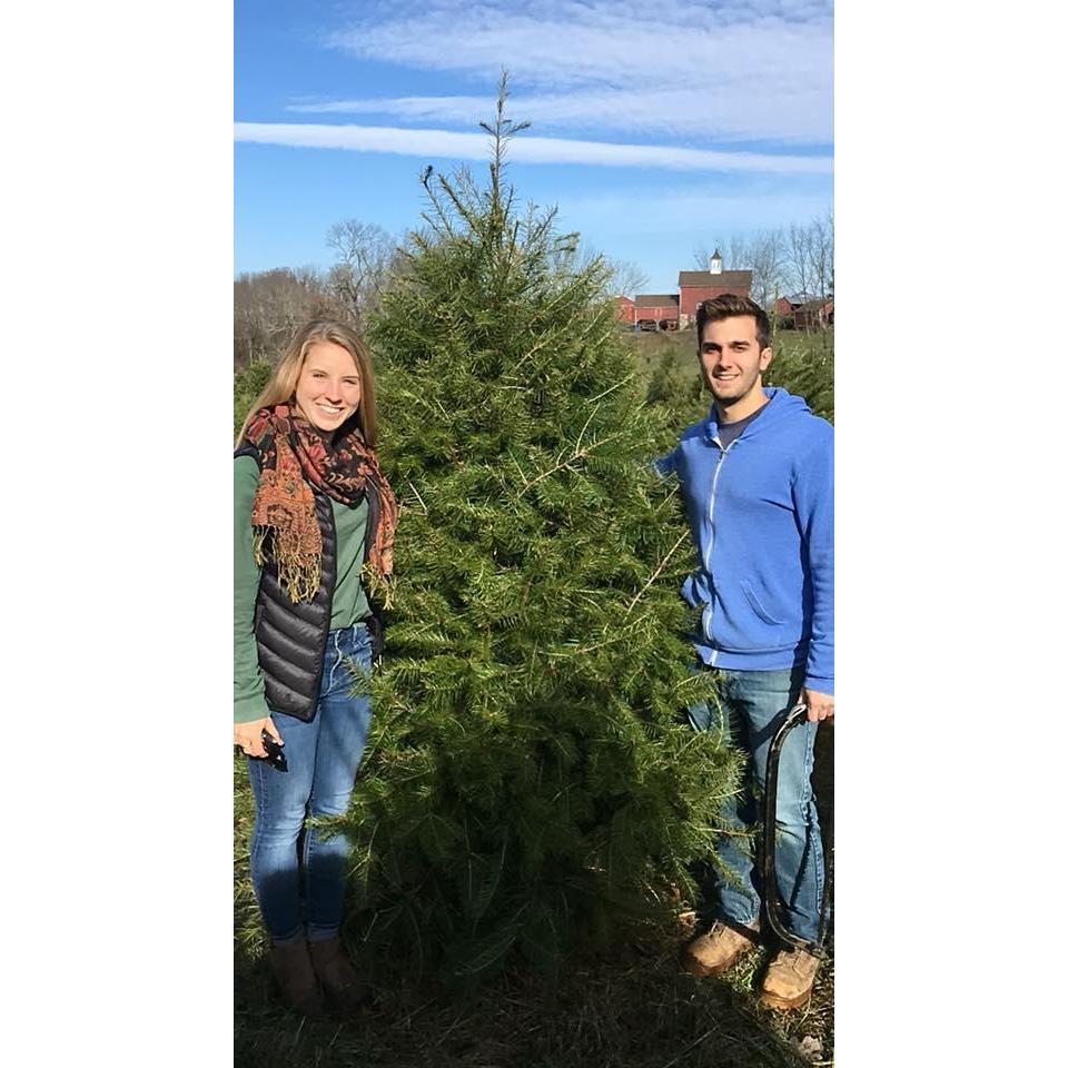 Our first Christmas tree!