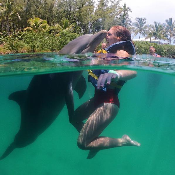 Dolphin Swim Experience - Family of 4