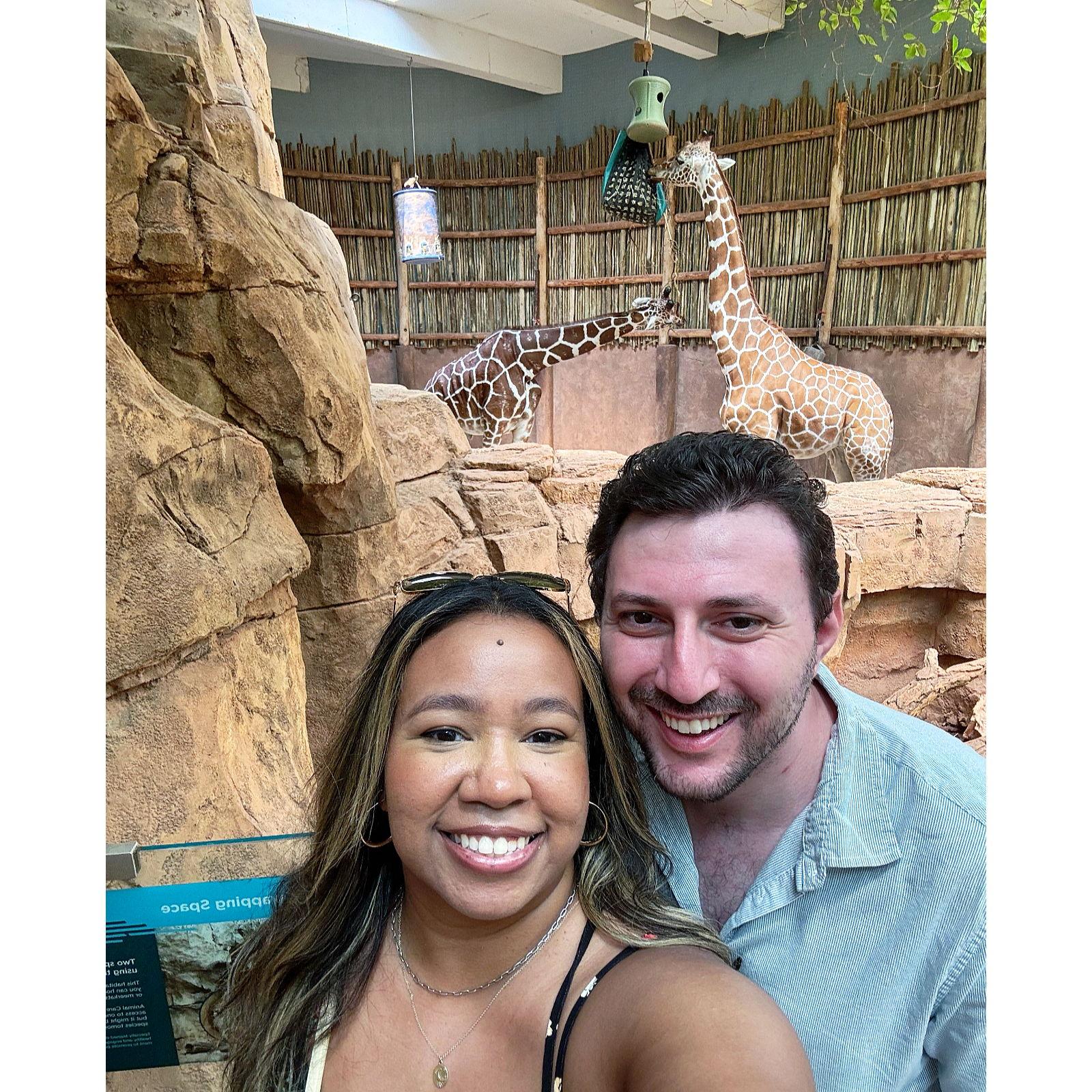 @ Lincoln Park Zoo in Chicago, IL