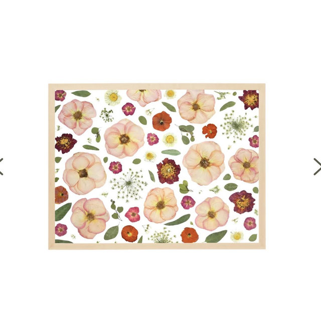 Pressed Frame