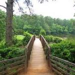 William B Umstead State Park Road