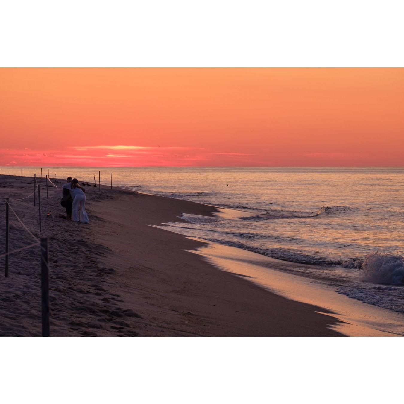 The moment we got engaged! We got so lucky - a photographer happened to catch it while shooting the sunset.
