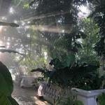 United States Botanic Garden