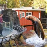 Vancouver Aquarium