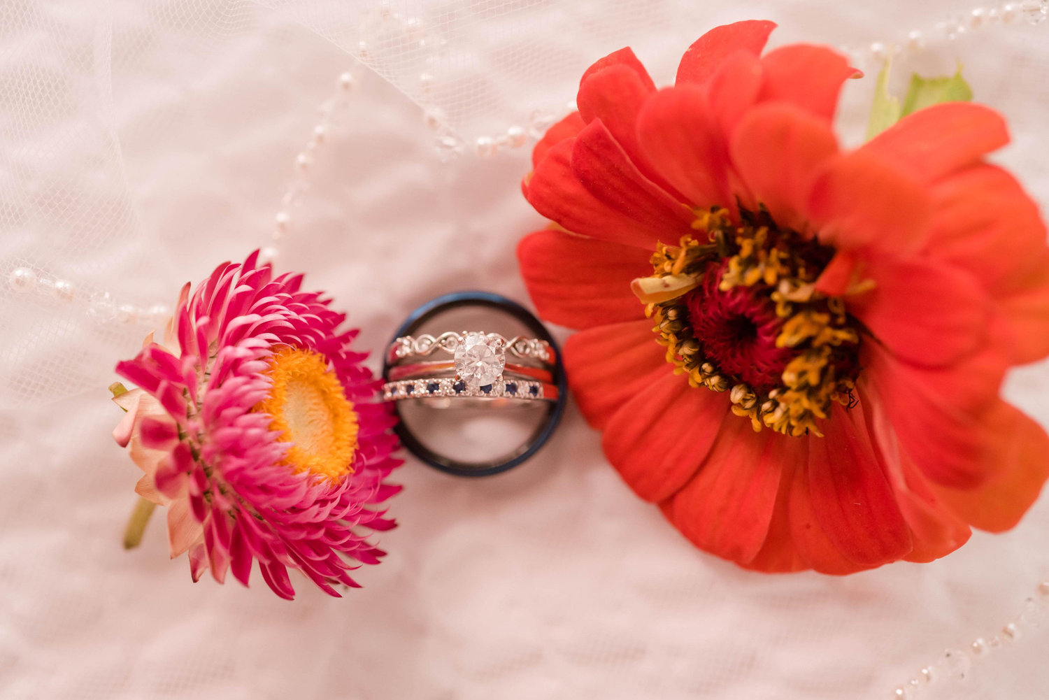 The Wedding Website of Molly Martin and James Wright Jr.