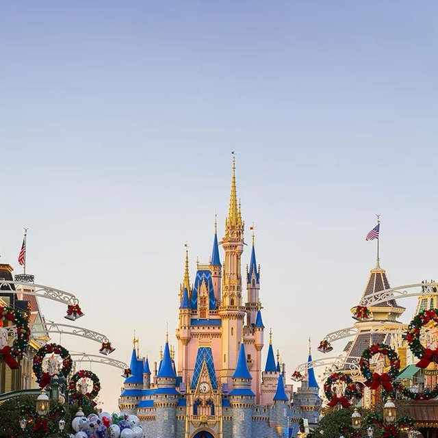 Our Disney World Honeymoon Fund