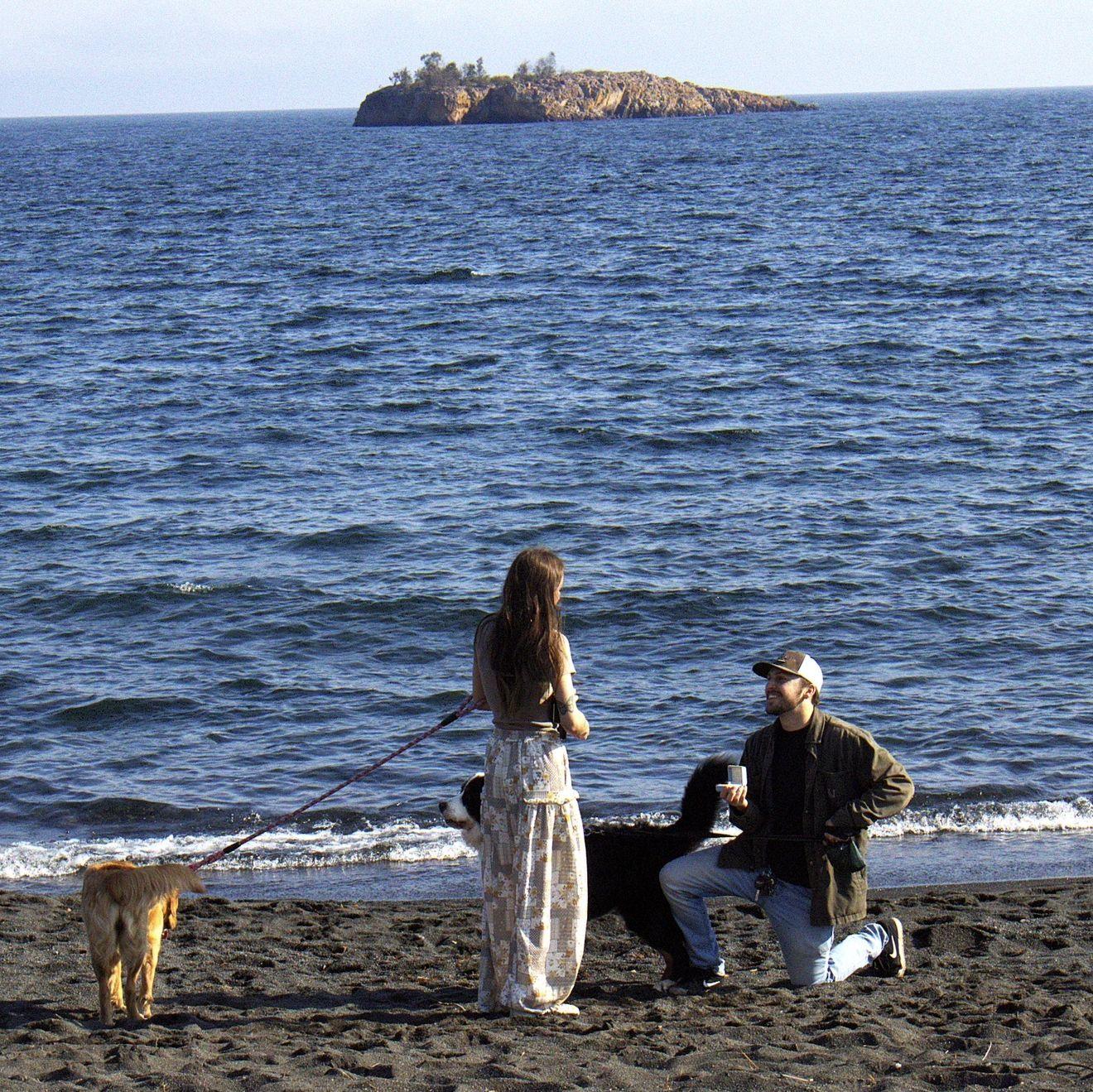 The Proposal