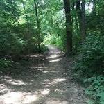 Cedar Crest