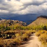 Sabino Canyon